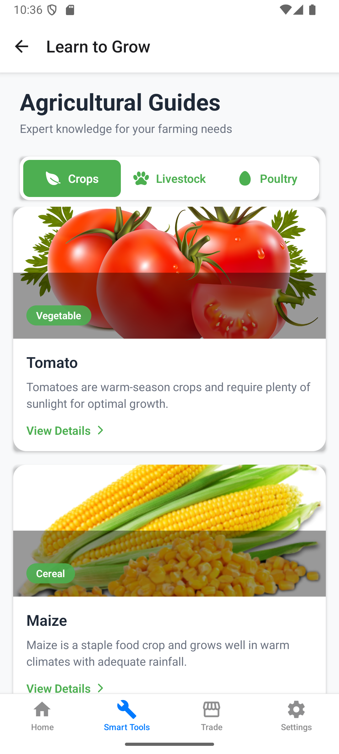 AkuafoPlus interactive learning module with agricultural education, crop guides, and farming tutorials for Ghanaian farmers
